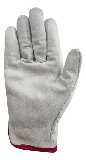 Guantes cabritilla sin forro — Thick (12 pares)